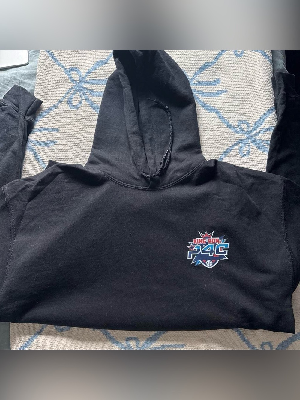 Gildan Black Hoodie with Small Multicolor Chest Graphic